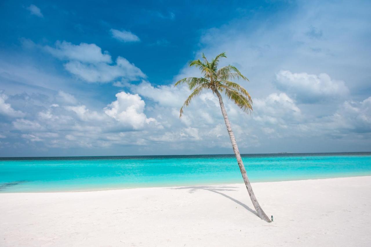 Brickwood Rasdhoo- Beach Front Exterior photo